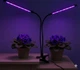 LED лампа HEVA для росту і цвітіння рослин з регульованим тримачем і довгим кабелем - зображення 2