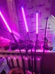 LED лампа HEVA для росту і цвітіння рослин з регульованим тримачем і довгим кабелем - зображення 9