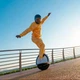 Моноколесо InMotion E20 [133568] - изображение 5