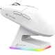 Мышь Attack Shark X6 Wireless White [137545] - изображение 3