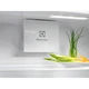 Холодильник Electrolux ERD6DE18S4 - изображение 7