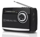 Радиоприемник 1.0 X-510 Black, 3 Вт REAL-EL (teh0021030) - изображение 1