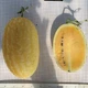 Арбуз Жако F1 Azia Seed 5 шт (zip-paket) - изображение 3