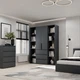 Шкаф распашной комбинированый №9 Light 1600x500x2200 Графит серый (GALTK097000000) - изображение 3