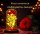 Роза в колбе ночник с LED освещением подарок на 8 Марта батарейки в комплекте 6 шт ночник в спальню подарок маме подарок девушке лампа в спальню красный 2100034 - изображение 5