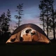 Палатка двухместная Naturehike CNK2300ZP024, белая - изображение 3