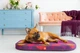 Чохол для лежанки WAUDOG Relax, малюнок "Гранат", розмір M, 80х55 см (1309-0107) - зображення 2