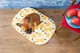 Чохол для лежанки WAUDOG Relax, малюнок "Апельсини", розмір S, 55х40 см (1308-0105) - зображення 3