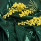 Тканина трикотаж паєтки 140 см 195 гр/м2, для вечірніх суконь, костюмів, спідниць та сценічного одягу т/зелена м.п. - зображення 4