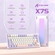 Механічна бездротова (Bluetooth + 2,4G) клавіатура з HOT SWAP Attack SHARK X75, Металевий корпус, RGB, Win/Mac OS, УКР/АНГЛ, ФІОЛЕТОВА/PURPLE (X75P10) - изображение 4