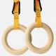 Детские гимнастические кольца со стропами 2шт пара Troli Rundy Rings Sling 170мм - изображение 1