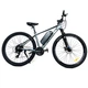 Электровелосипед DYNA 29" (1000W 48V 21Ah) Серый светлый - изображение 1
