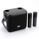 Портативная Bluetooth-колонка TG545DK 10W с фонариком и двумя микрофонами Black - изображение 1