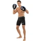 Лапа Изогнутая для бокса и единоборств 2шт 23x19x4,5 см кожа BOXER черный-синий 2012-01 - изображение 11