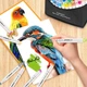 Маркеры Caliart Спиртовые Кисть и Долото для скетчинга 51 Colors Alcohol Brush Markers Brush Chisel - изображение 5
