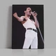 Інтер'єрна картина Фредді Мерк'юрі, Freddy Mercury, Queen, Квін, концертне ретро фото, рок, 29×42 см (id7287) - зображення 1