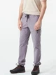 Штаны Picture Organic Alpho Lilac M/L (1012-MPT0180C-33) - изображение 3