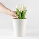 Горшок для цветов DH-FLOWERS-29 WHITE - изображение 4