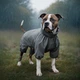 Дождевик для собак WAUDOG Clothes, водонепроницаемый, XS25, В 36-38 см, С 26-28 см, серый - изображение 3