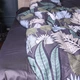 Пододеяльник MirSon King Size 220х240 см 22-1446 Leaves Сатин (2200012535479) - изображение 4