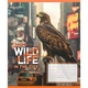Зошит Yes The wild in the city А5 96 аркушів лінія (767773) - зображення 3