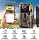 4G фотоловушка HC-900 Pro с LIVE-видео, 4K, до 120 МП (интерполяция), невидимая ночная съёмка, 120°, IP66 - изображение 3
