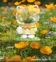 Колекційна фігурка MIGHTY JAXX серії "Sanrio: Azuma Makoto" - ХЕЛОУ КІТТІ (в ас., у дисп.) (BB23SRAM90201) - изображение 5