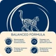 Сухий корм для дорослих котів ''М'ясне асорті'' PREMIUM Balanced Formula (10 кг) Home Food - зображення 3
