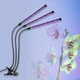 Світлодіодна LED фітолампа Grow Light для вирощування рослин 3 ультрафіолетові голови для рослин і розсади з регулюванням яскравості та таймером USB 30 Вт - зображення 1
