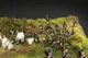 Збірна модель 1:72 бойовий набір Austerlitz 1805 - Battle Set Italeri 6071 - изображение 9