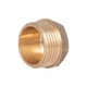 Заглушка Thermo Alliance Standart 1" НР SD40325 - изображение 1