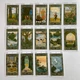 Карты таро 1001 ночь, уменьшенная (Tarot of the Thousand and One Nights) - изображение 8