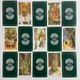 Карты таро Дикого леса, уменьшенная (Wild Wood Tarot) - изображение 3