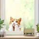 Декоративная 2D наклейка Рыжий кот для автомобиля, мотоцикла, ноутбука, техники 1 шт. 14.8х14 см. Оранжевый с белым - изображение 7