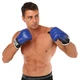 Снарядные перчатки кожаные на резинке размер L кожа BOXER синий-черный 2014 - изображение 6