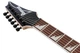 Електрогітара IBANEZ RG421DX-TWS (302360) - изображение 6