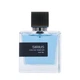 Парфумована вода чоловіча Extract Sirius 100 ml - зображення 1