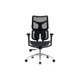 Офісне крісло Sihoo DORO S100 Mesh Black (S100-M301) Sihoo S100-M301 924058 - зображення 2