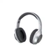 Навушники Panasonic RB-HX220BEE-S Gray (RB-HX220BEE-S) PANASONIC RB-HX220BEE-S 920874 - зображення 1