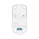 Мишка A4Tech FB50C Plus Wireless/Bluetooth White (4711421002875) A4tech 4711421002875 913469 - зображення 12