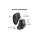 Мишка Ugreen MU008 Vertical Wireless Black (25444) UGREEN 25444 911783 - зображення 5