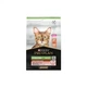 Сухий корм для кішок Purina Pro Plan Sterilised з лососем 3 кг (7613036517454) Purina Pro Plan 7613036517454 899486 - зображення 1