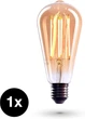 Лампа накаливания CROWN LED Edison EL10 эквивалент 40 Вт 2000 К теплый белый - изображение 3