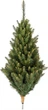 Штучна ялинка Springos Сибірська ялина Pe Premium 180 см (5908455306058) - зображення 4
