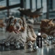 Капли для животных Superium Сильвер ушные с коллоидным серебром для кошек и собак 30 мл (9105) - изображение 8