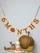 Гірлянда до святкування півроку 6 month Гарбуз HeyBaby - зображення 1