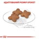 Сухой корм для собак Royal Canin Mini Adult мелких пород старше 10 месяцев 800 г - изображение 2
