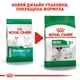 Сухой корм для взрослых собак мелких пород Royal Canin Mini Adult 8+ старше 8 лет 800 г - изображение 5