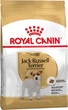 Корм Royal Canin Jack Russell Terrier Adult сухой для собак породы джек рассел 1.5 кг - изображение 1