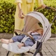 Коляска Chicco Bellagio 2 в 1, молочная - изображение 6